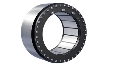 FM2-06008KTN506 Frameless Motor